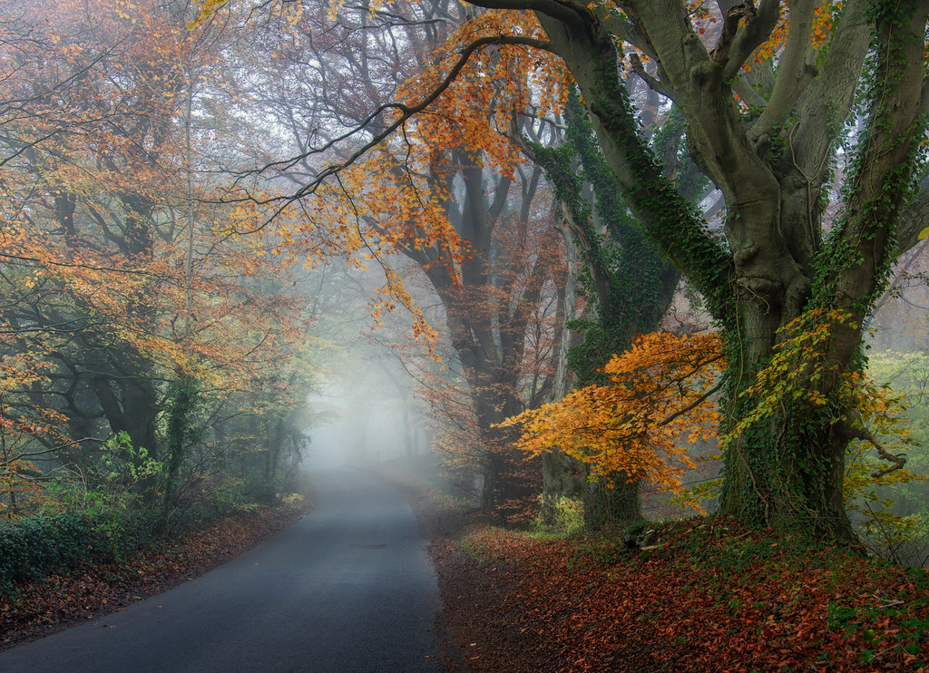 tiết hàn lộ là gì