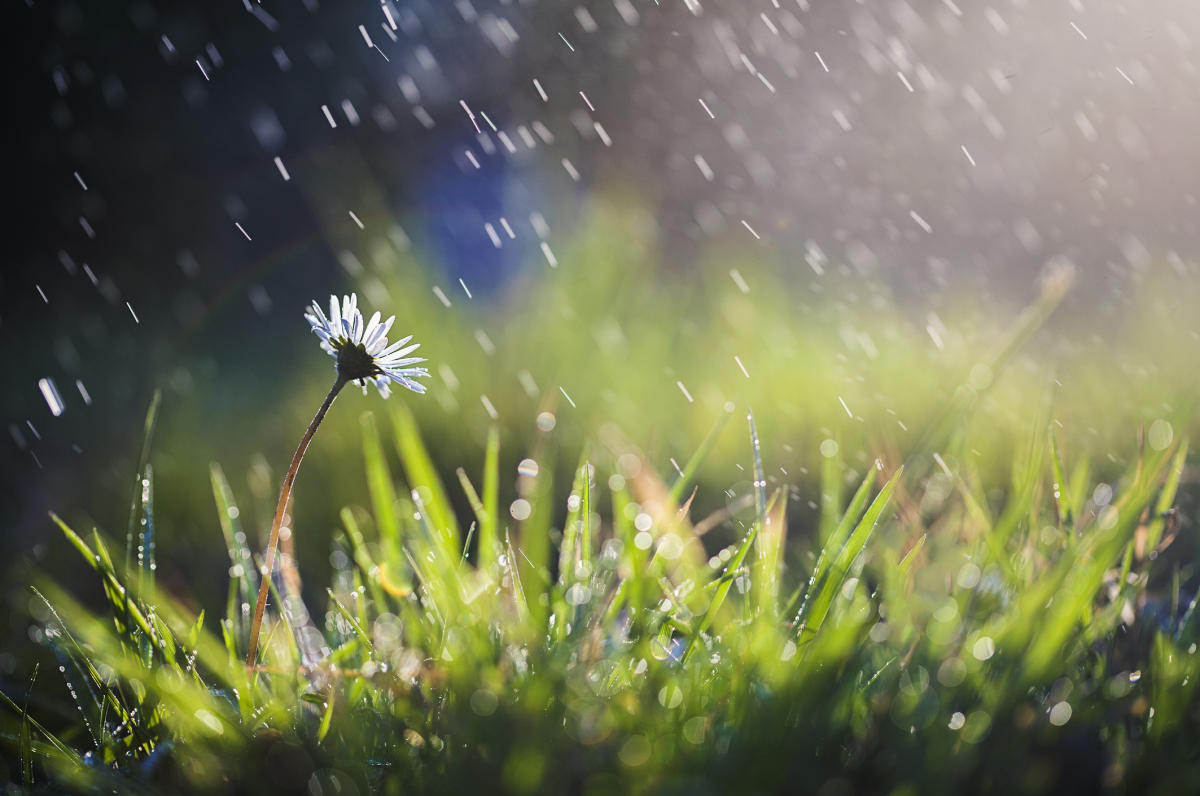 tiết cốc vũ là gì