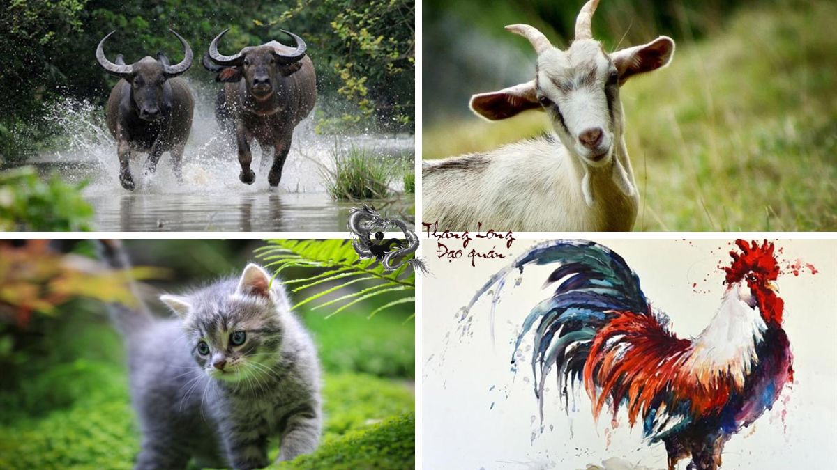 4 con giáp thông minh cảm xúc