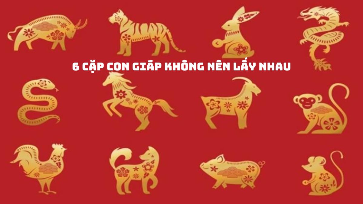 6 cặp con giáp không nên lấy nhau