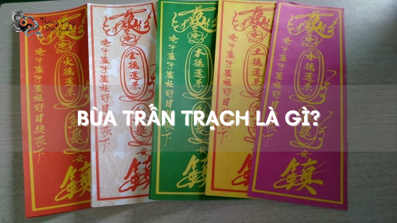 bua-tran-trach-la-gi