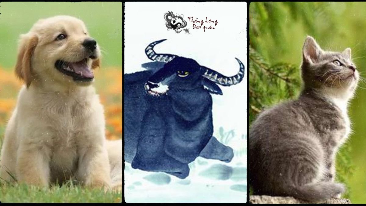 Ba tuổi con giáp dễ yêu