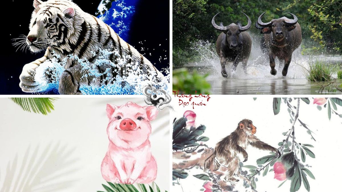 Con giáp dễ được yêu mến