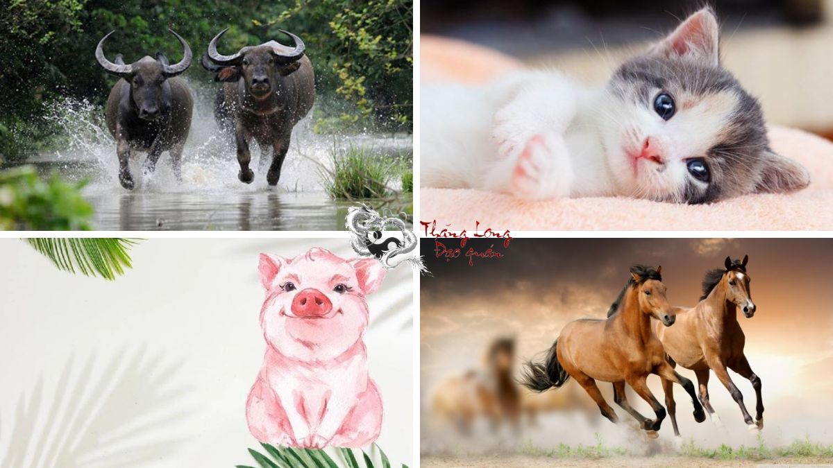 Con giáp ít tiền nhiều phước