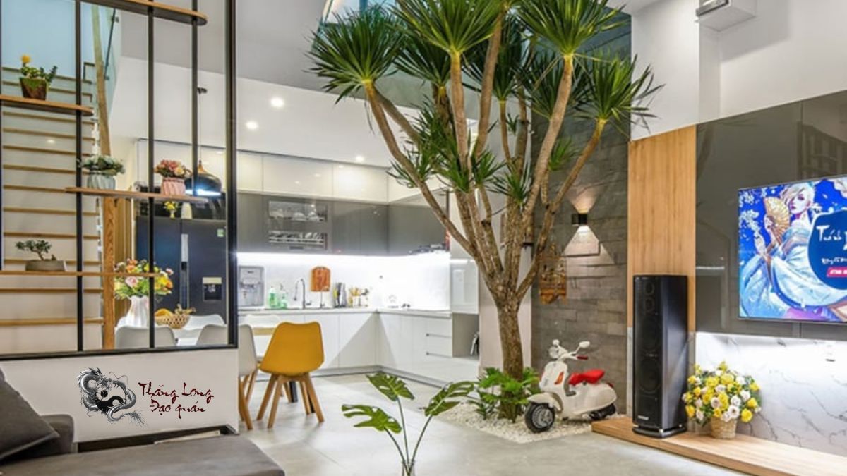 Công dụng của cây Phát Tài núi