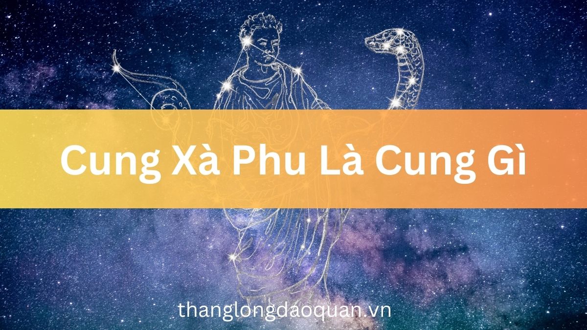 Cung Xà Phu là Cung Gì