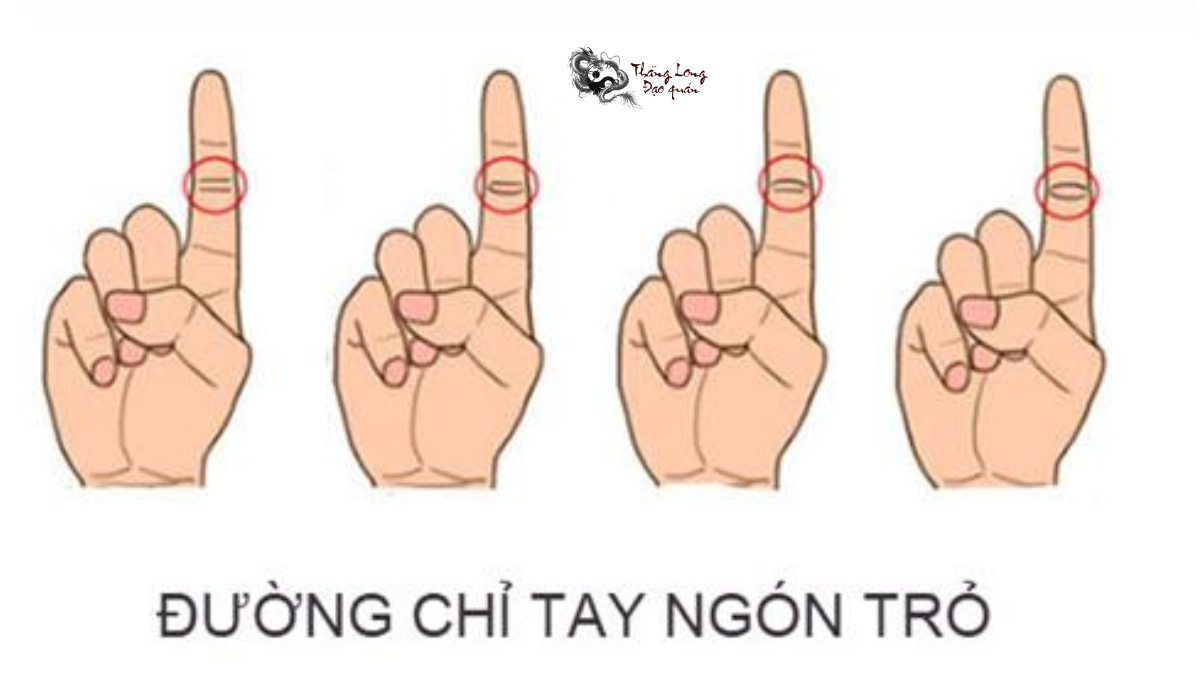 Đặc điểm ngón tay trỏ