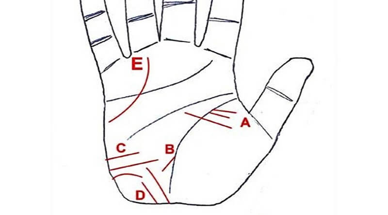 Đường chỉ tay xuất ngoại