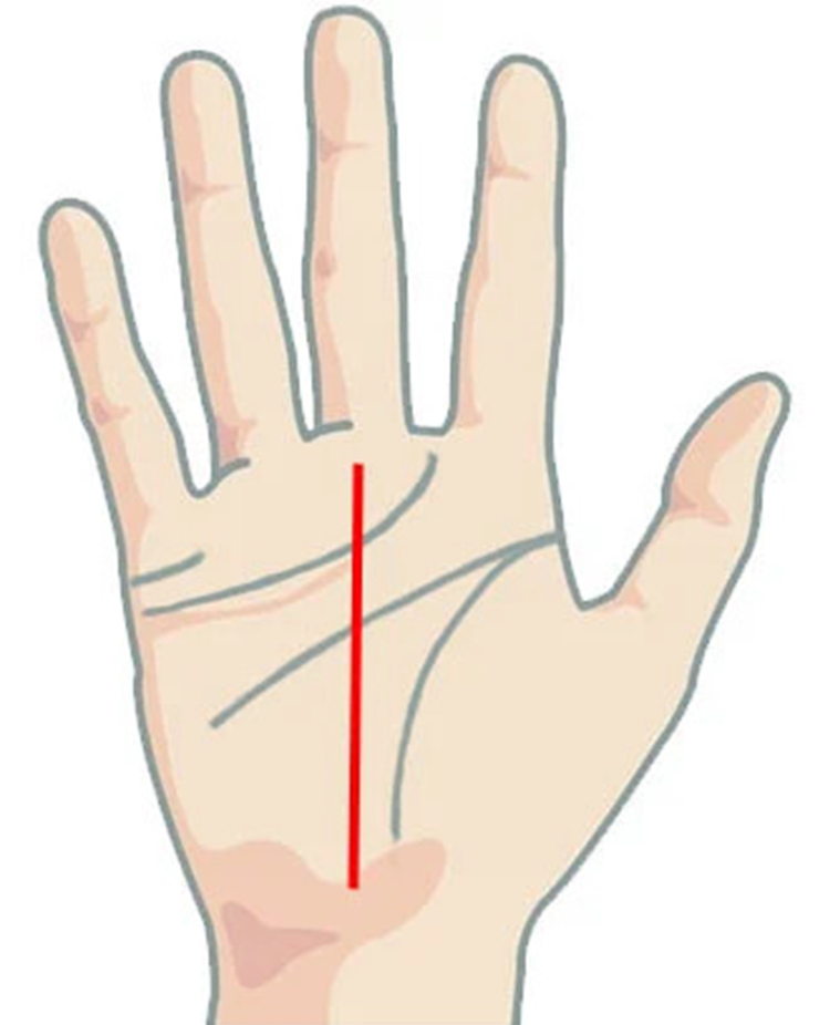 Đường sự nghiệp