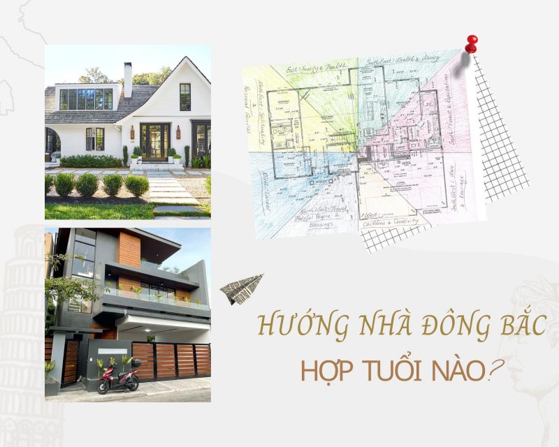 nha-huong-dong-bac-hop-tuoi-gi