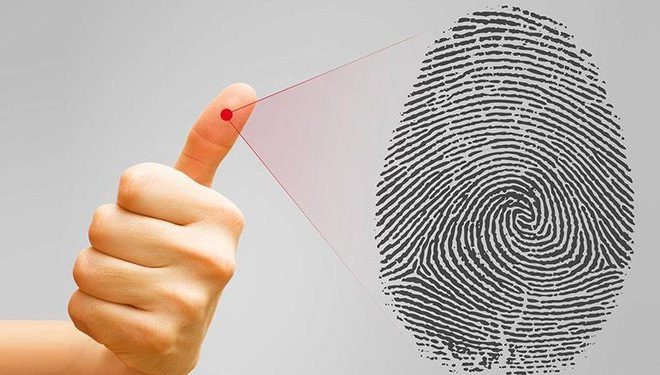 Hoa tay có di truyền hay không?