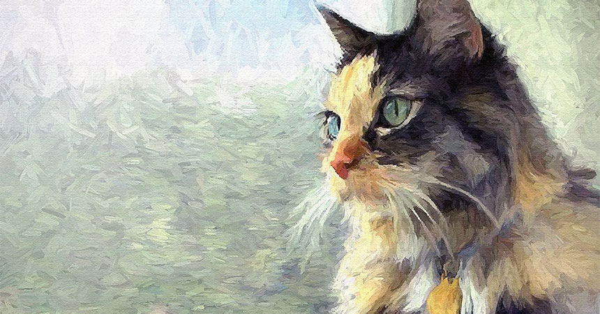 Hướng bếp tuổi Mão 1987