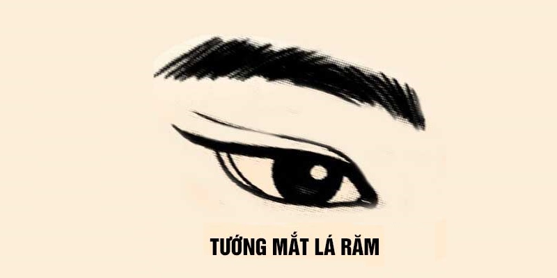 Khái niệm về mắt lá răm