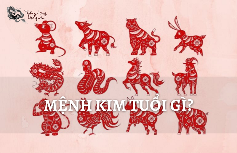 menh-kim-tuoi-gi