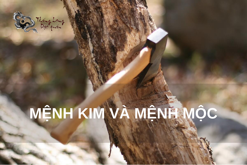 menh-kim-va-menh-moc