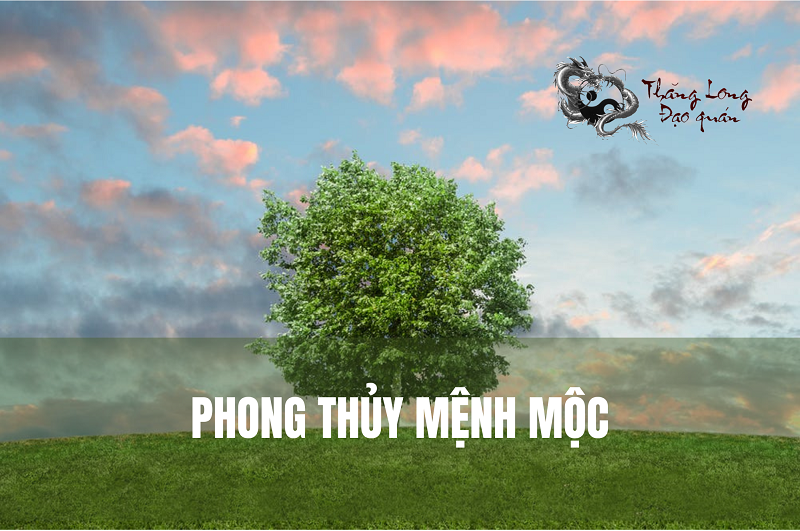 phong-thuy-menh-moc