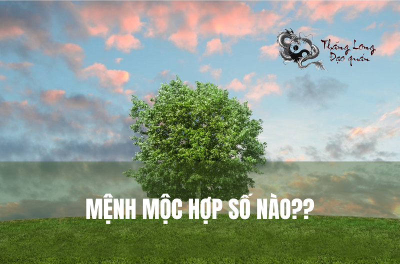 menh-moc-hop-so-nao
