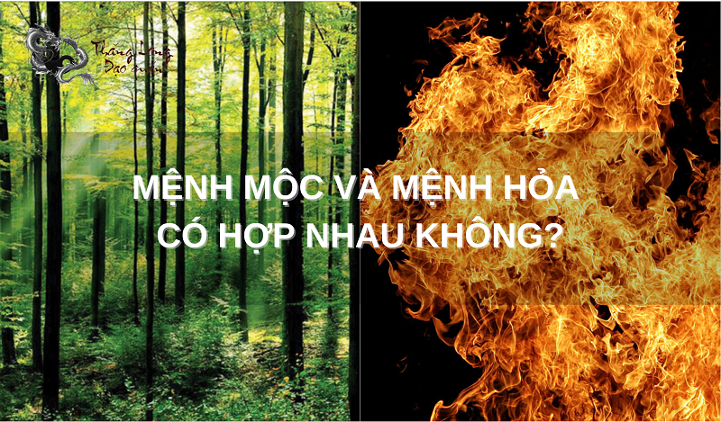 menh-moc-va-menh-hoa-co-hop-nhau-khong
