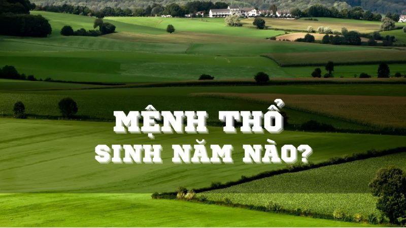 menh-tho-sinh-nam-nao