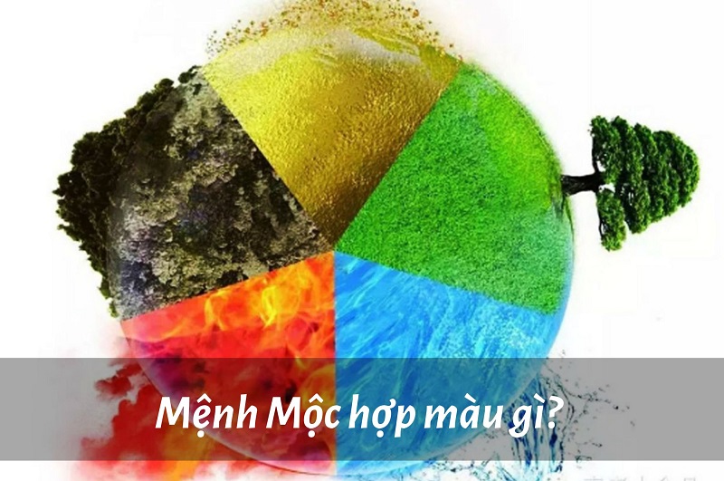 menh-moc-hop-mau-gi