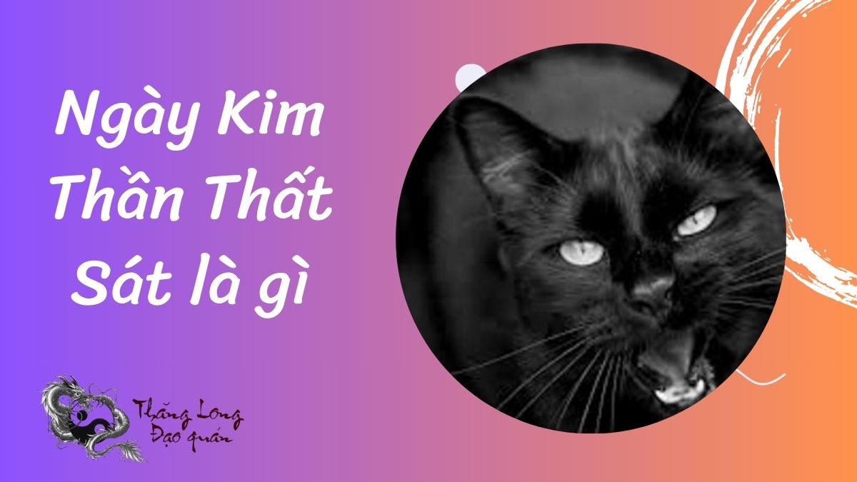 Ngày kim thần thất sát là gì