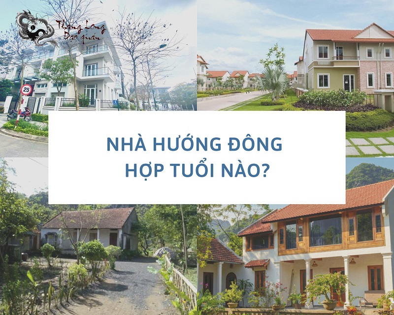 nha-huong-dong-hop-tuoi-nao