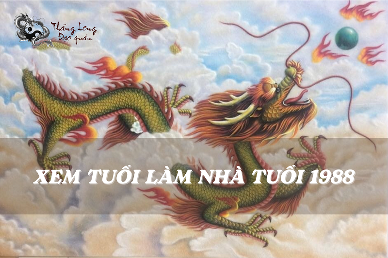 le-an-hoi-gom-nhung-gi