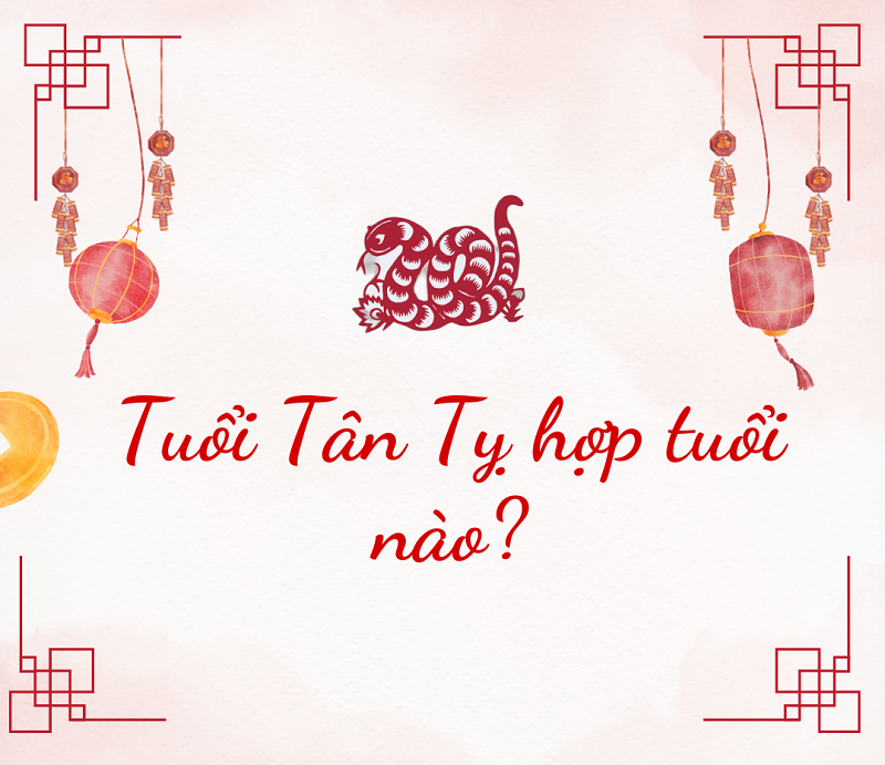 tuoi-tan-ty-hop-tuoi-nao