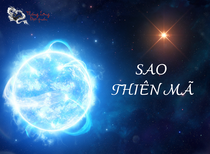 sao thiên mã