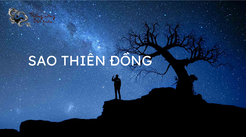 sao-thien-dong