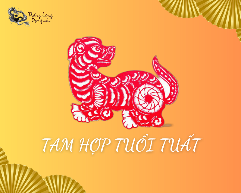 tam-hop-tuoi-tuat