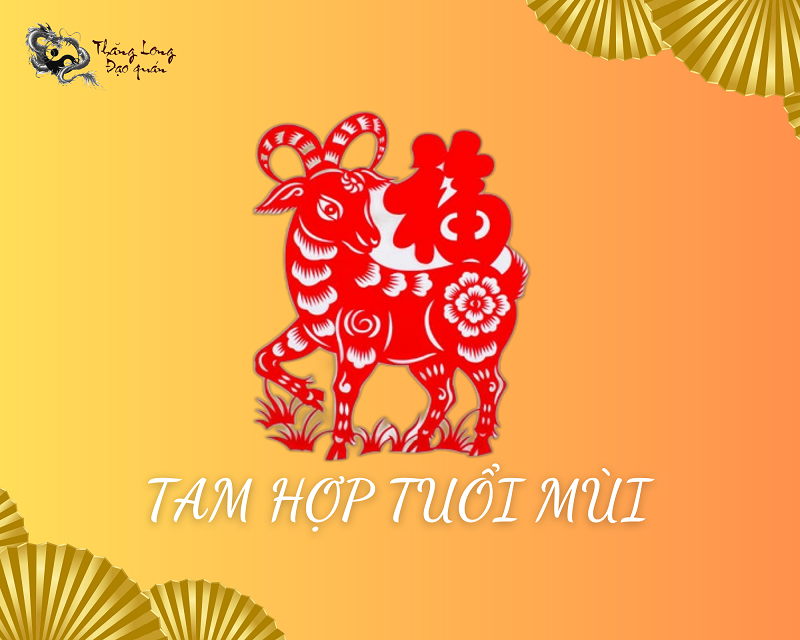 tam-hop-tuoi-mui