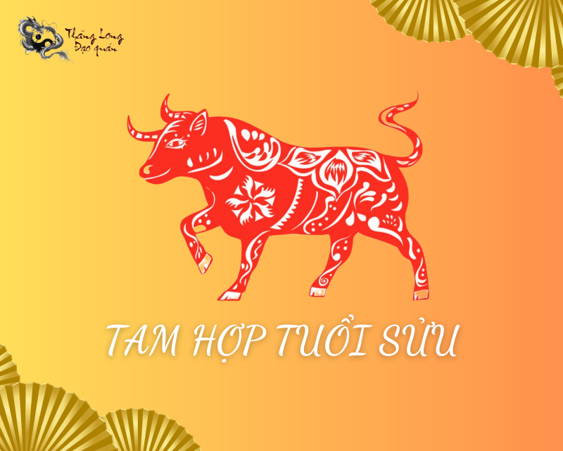 tuoi-suu-tam-hop-voi-tuoi-nao