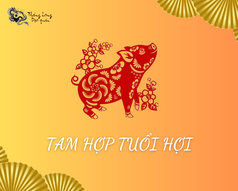 tam hợp tuổi hợi