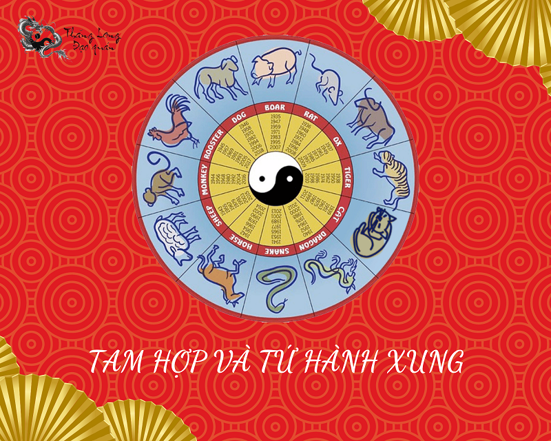 tam-hop-tu-hanh-xung
