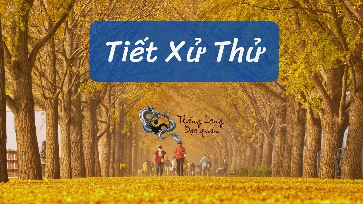Tiết Xử Thử