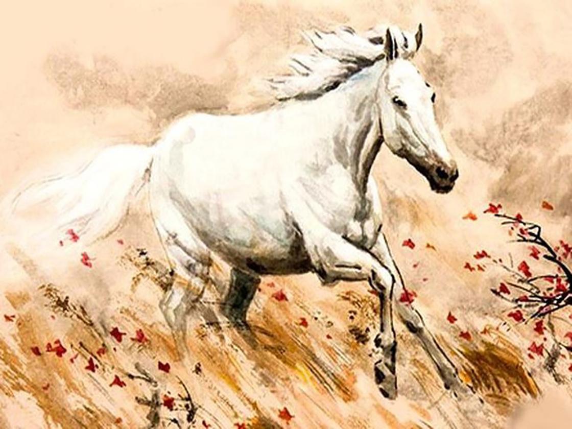 Tóm tắt tử vi tuổi Ngọ