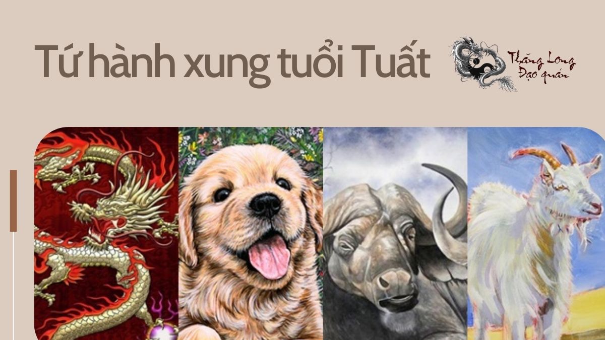 Tứ hành xung tuổi Tuất