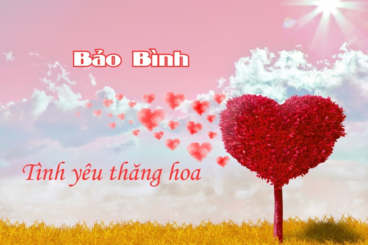 Tử vi 1-9 của Bảo Bình với tình yêu thăng hoa
