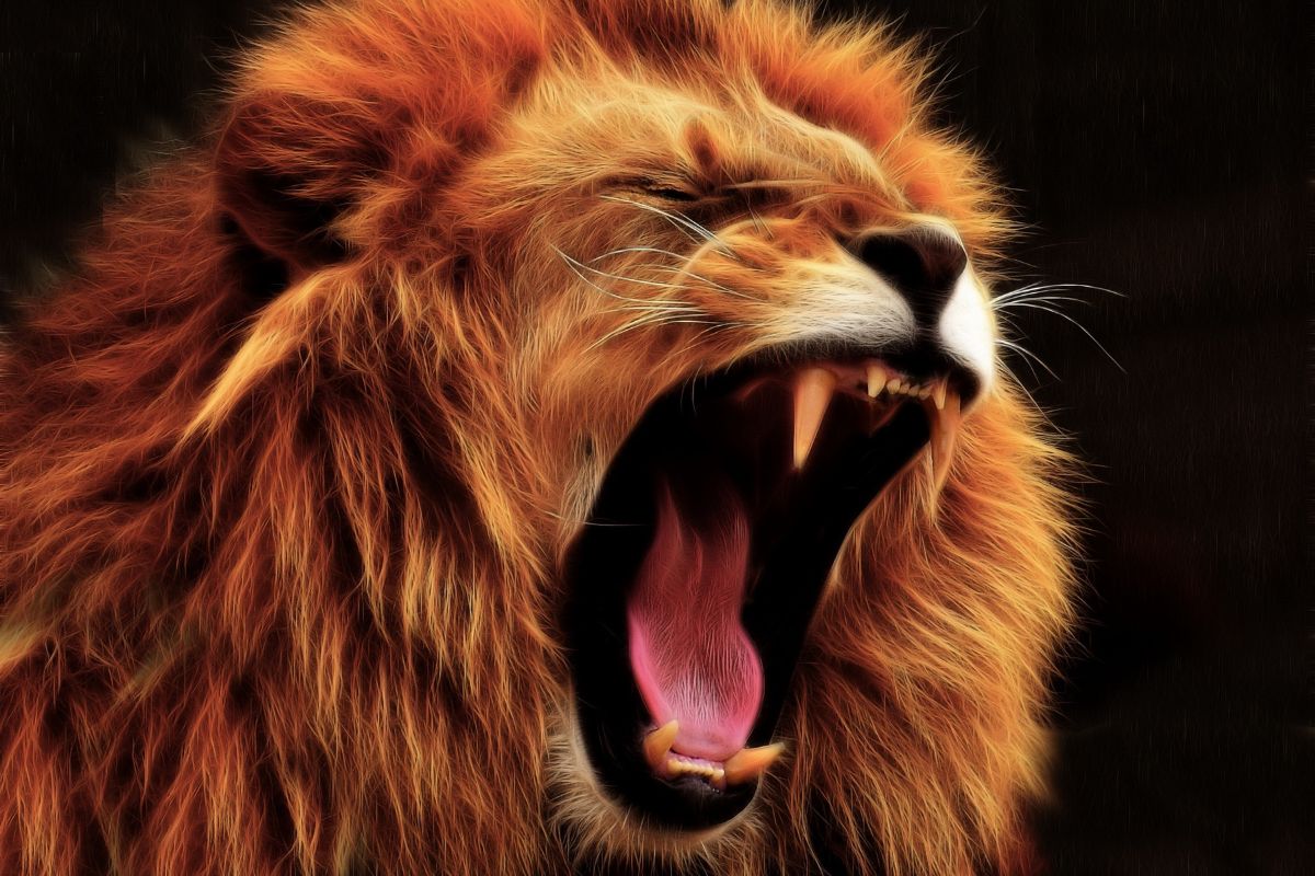 Tử vi Sư Tử ngày 2-9 đến 4-9