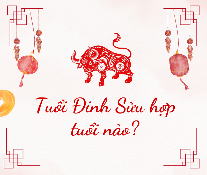 tuoi-dinh-suu-hop-tuoi-nao