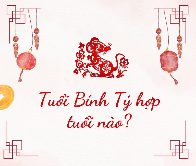 tuổi bính tý hợp với tuổi nào
