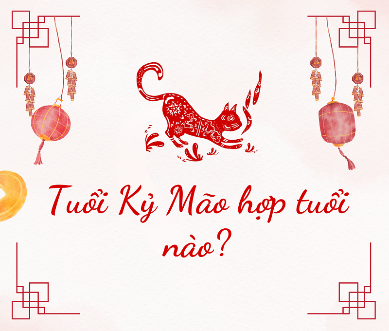 tuổi kỷ mão hợp với tuổi nào