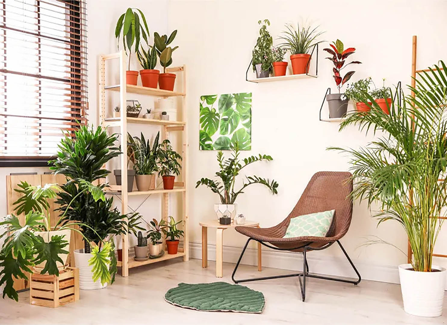 Tuổi Mão hợp cây gì