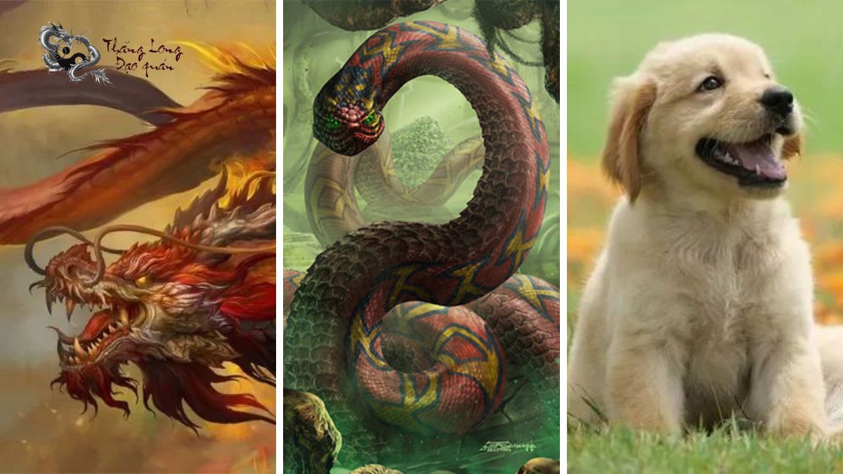 Tuổi nào dễ bị lợi dụng