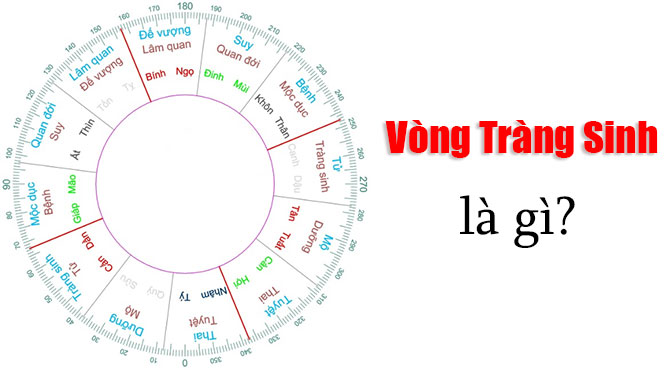Vòng Tràng Sinh trong Tử vi gồm 12 sao tương ứng vơi 12 cung 