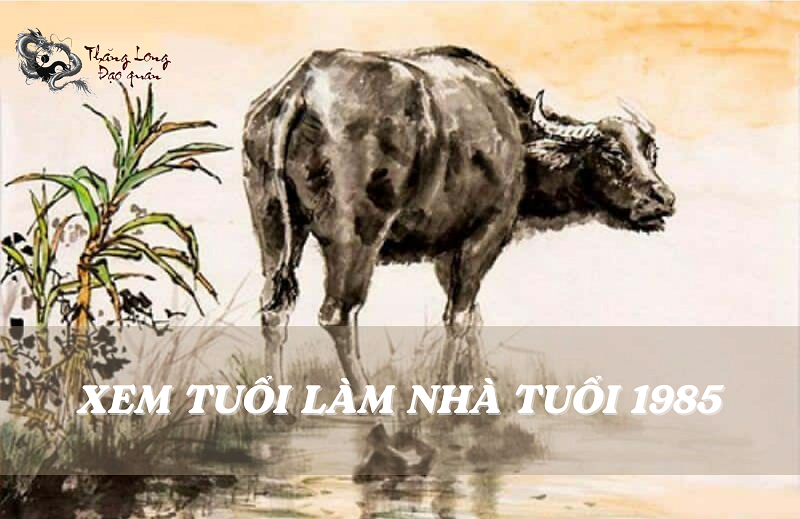 Người Ất Sửu 1985 cần lưu ý gì khi chọn tuổi xây nhà?