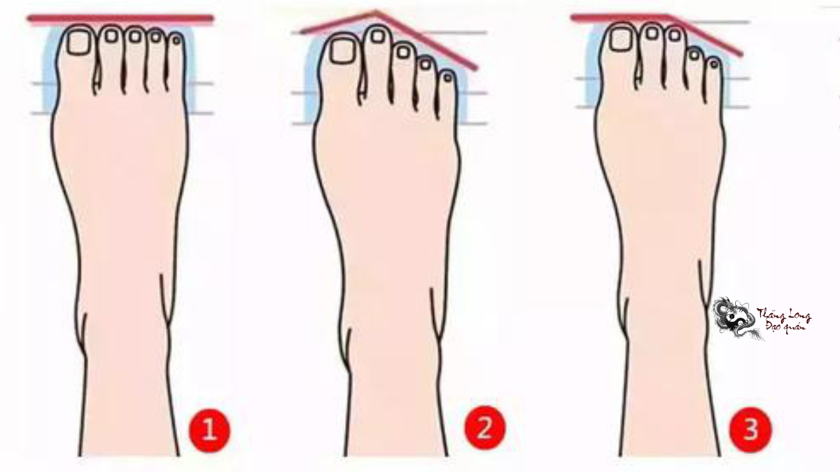 Xem tướng bàn chân