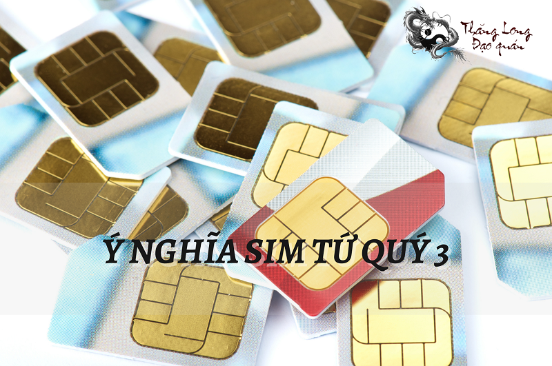 y-nghia-sim-tu-quy-3