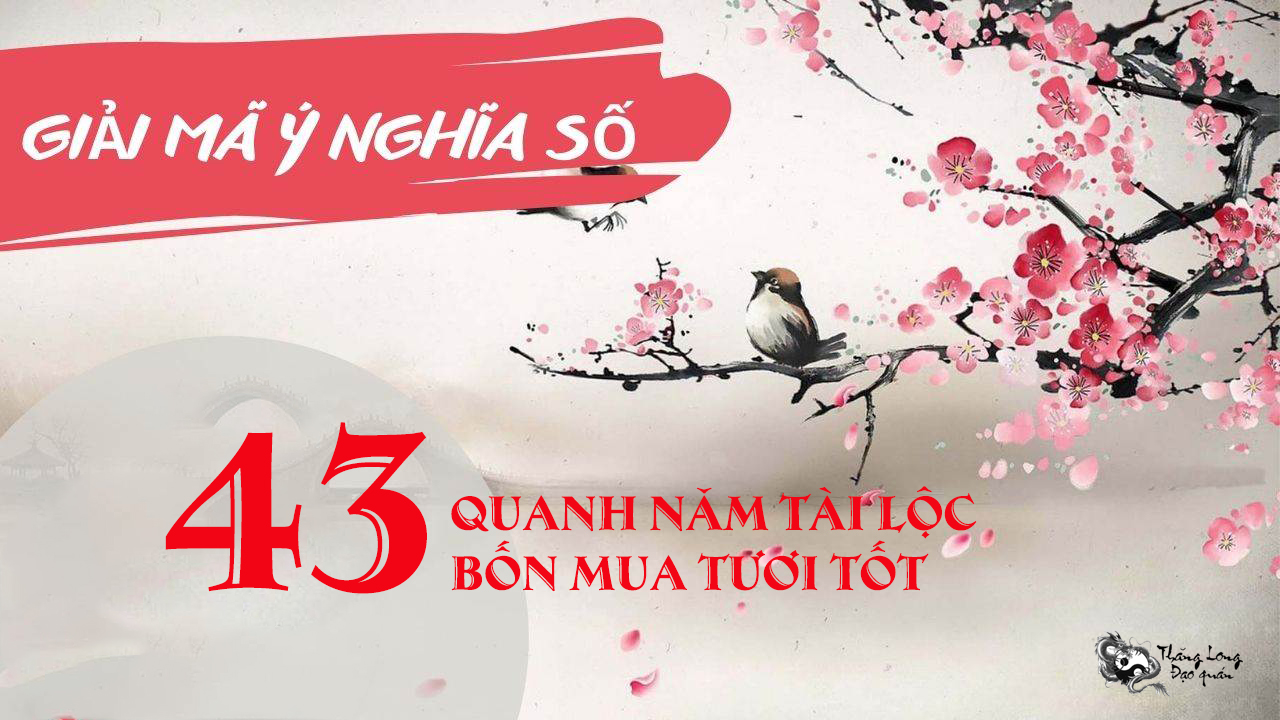 Biển số 43 có ý nghĩa gì